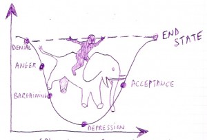 the rider and the elephant in the cycle of change
